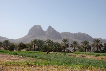 Oman055