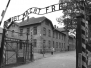 Auschwitz-Birkenau 2014