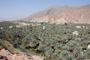 Oman022