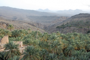 Oman032