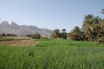 Oman054
